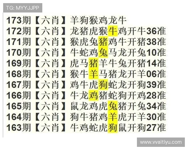 今日澳门新彩开奖号码查询及最新开奖结果分析